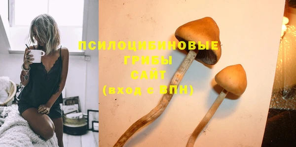 твердый Алексеевка