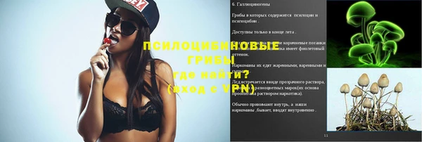 apvp Алзамай