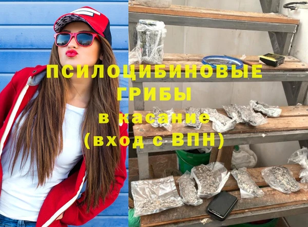 apvp Алзамай